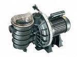 1.5 HP Sta-Rite Pool Pump